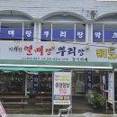 모범약초