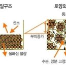 토양의 입단구조(떼알구조) 이미지