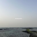 사이마을갤러리 | 제주 동쪽 여행코스 김녕 바닷길 금속공예벽화마을 청굴물 물때 주차