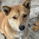 술익는집 이미지