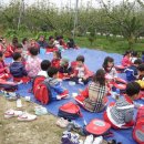 세인트폴어린이집 이미지