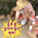 프로프라이프