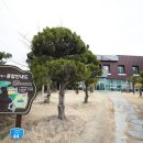 임자 전장포 새우젓토굴 이미지