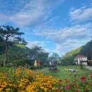 초당지펜션 이미지