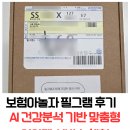 인포유 | 💊 보험아놀자 필그램 후기 | AI 건강분석 기반 맞춤형 영양제 서비스 체험