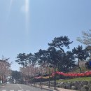 낙화암 쌍바위 이미지