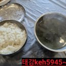 배꽃가든 이미지