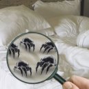 편백하우스 이미지