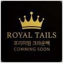 고양&화이트퍼피켄넬 | 2025 케이펫페어 일산 메가주, 로얄테일즈 부스 위치 및 신제품 이벤트