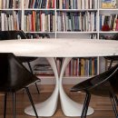 디디모스 이미지