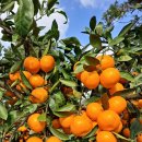 문교농장 이미지