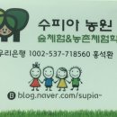 수피아민박