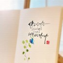마스터캘리포토그라피