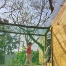 돌하르방미술관 이미지