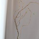 버들1길 이미지