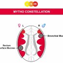 신화 별자리 MYTHO CONSTELLATION 이미지