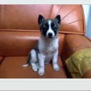 성일농장2 이미지