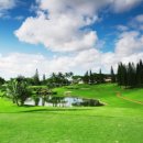 칼튼관광호텔 이미지