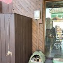 브라운도트 진하해수욕장점 이미지