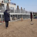 창원애독 이미지