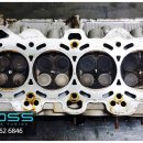 제성기아 이미지