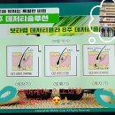 유현숙헤어 | 보타랩샴푸 사용후기