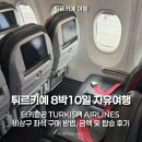 콩코드항공 | 8박 10일 자유여행 :: 터키항공 어플 TURKISH AIRLINES 앱 비상구 좌석 구매 방법, 금액 및 탑승 후기