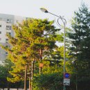 라이트룸 사진편집에 효과적인 보정머신 맥북에어M2 사용 후기