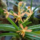 오공이 농장 이미지