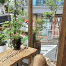 김밥창고 이미지