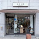동백양과 | 이뽀또가 반겨주는 분위기 좋은 디저트 맛집 감성 카페 '동백양과' 내 돈 내산 방문 후기 feat 크리스마스