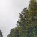 Barnston Island 이미지