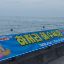 휴펜션&모텔 네이버블로그
