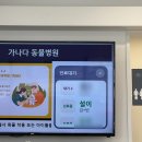 가나다 동물병원 이미지