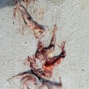 해우(海友)