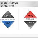 선진VFC