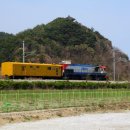 G1681 이미지