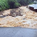 도봉-도봉-서울도봉-2123 이미지