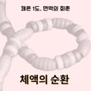 허니(HONEY) 이미지