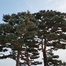 북인천세무서 이미지