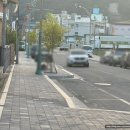 영양-2)영양군 제일안경원 앞 | 영양군 대표 양식 맛집, 영양읍 달식당 주차 팁, 메뉴 조합 추천
