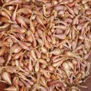 종구축사 이미지