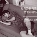 햇빛샤워