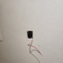 대주한신 이미지