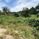 토지보건지소 이미지