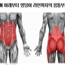 코어나인필라테스