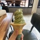 보성광고 | 보성 가볼 만한 곳: 초록빛 힐링, 보성 녹차밭 대한 다원 방문 후기 및 주차 팁
