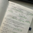 로즈리에 | 영어문법 레전드 EBS 강의 로즈리 그래머 홀릭 완강 후기