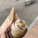 청자다방 일산라페스타점 | 일산 라페스타 카페 청자다방 군고구마 후기