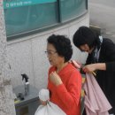 예닮미용실 Daum카페